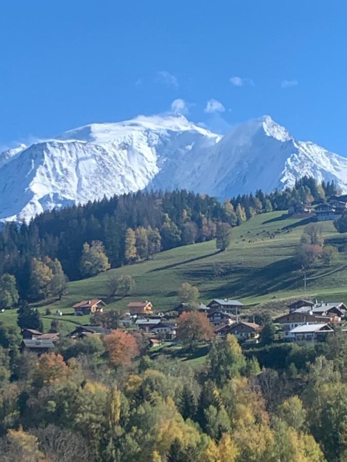 Chalet Mont Blanc Combloux Exterior foto
